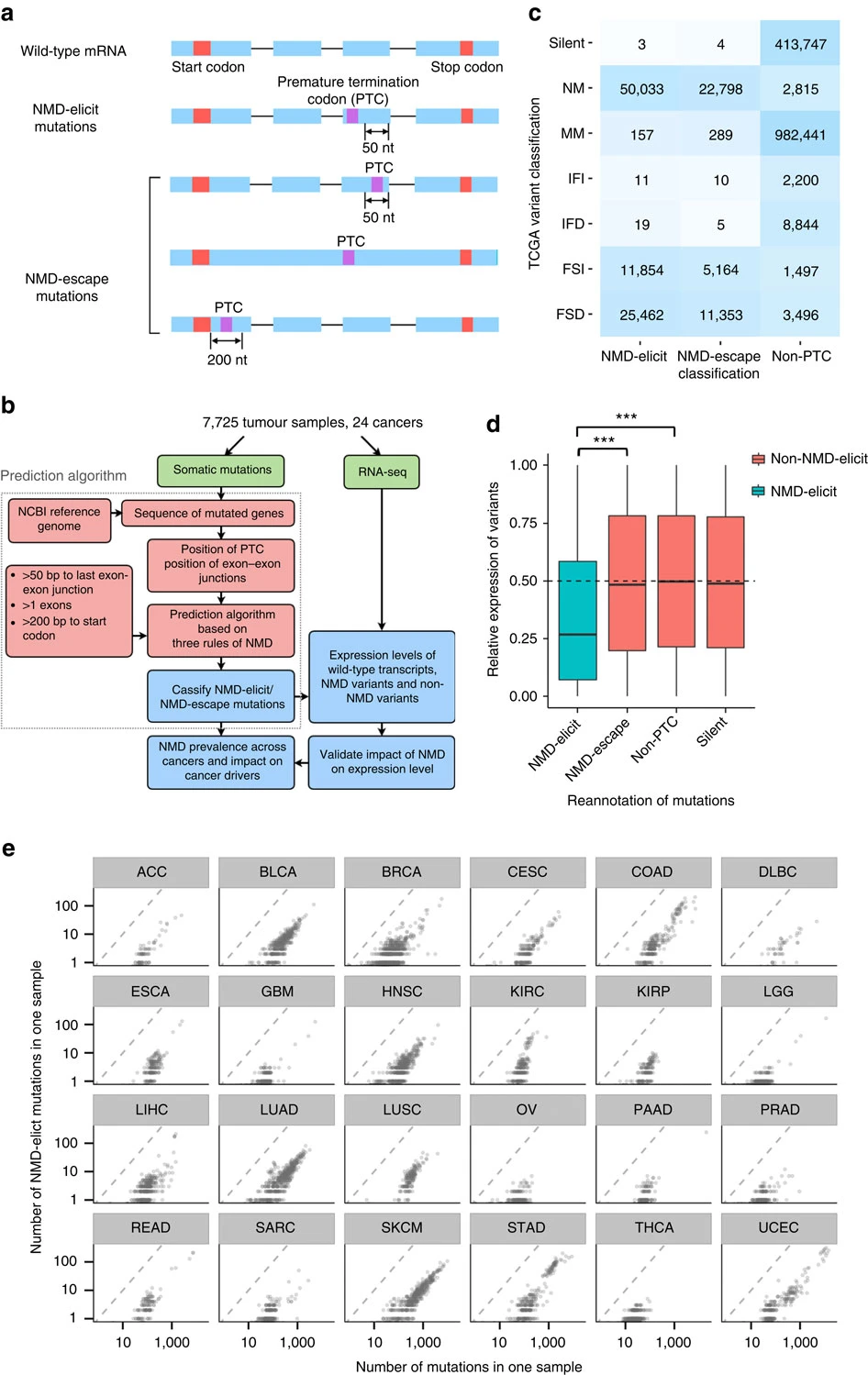 A pan-cancer genome-wide analysis reveals tumour dependencies by induction of nonsense-mediated decay